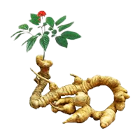 Đặc Sản Vùng Miền