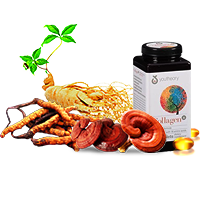 Thực Phẩm Chức Năng