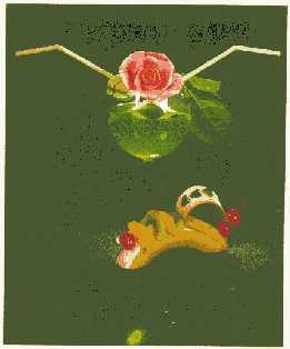 GREEN PASSION _ ĐAM MÊ XANH