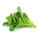 Cải ngồng Hồng Thịnh Phát