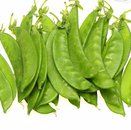 Đậu hà lan non (trái non)