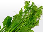 Đọt bầu sạch