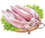 Mực ống tươi lớn (100% không tẩy)