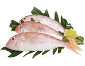 Cá hường Phan Thiết (size lớn)