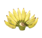 Chuối xiêm vườn (chuối sứ)