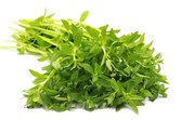 Rau om (Rau ngổ thơm)