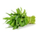 Rau muống non VietGap