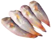 Cá mó tươi (size đặc biệt)