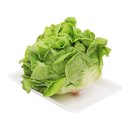 Xà lách mỡ Đà Lạt