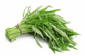 Rau muống hạt (lá dài)