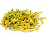 Bông điên điển