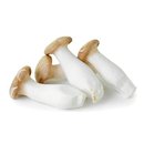 Nấm đùi gà Baby An Toàn