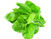 Rau mồng tơi VietGap