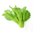 Cải bẹ xanh Hồng Thịnh Phát