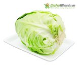 Bắp cải trái tim Đà Lạt