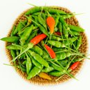 Ớt xiêm xanh (Ớt hiểm)