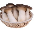 Nấm đùi gà An Toàn